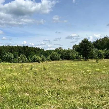 Miedzylasami -